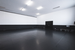 Studio 1 - 150 sqm, acrobatic matting, dance marley